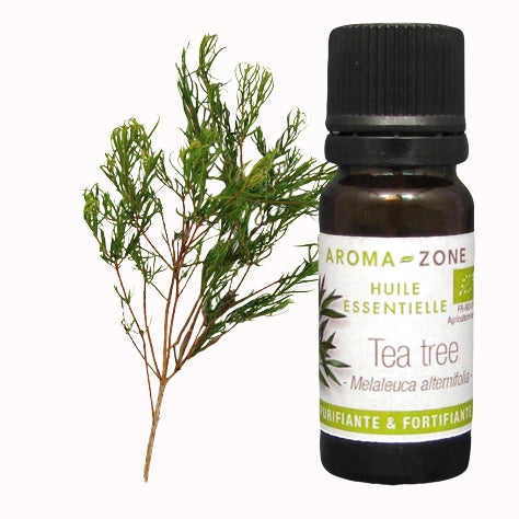 Aroma Zone - Huile Essentielle d'Arbre à Thé