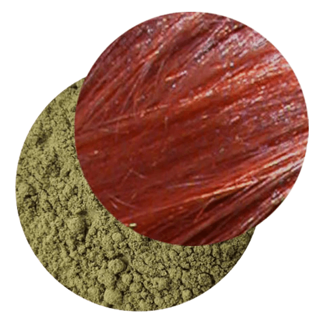 Aroma Zone - Henné du Rajasthan BIO - Colorant capillaire végétal | DjieFall